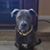 Eva-Tanja Cuthbert's profile image