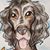 Stevie Clarke's profile image