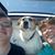 Doris J Mettberg Crotty's profile image