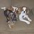 John Levens's profile image