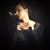 Lisa Mella McGilvary's profile image