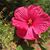 Marcia Finley Clark's profile image