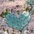 Christine Anderson Jensen's profile image