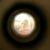 Mandy Zoglmann's profile image