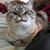 Sandy Hershberger's profile image