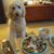 Mary Kate Lamb's profile image