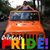 Sandy Fitzer's profile image