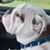 Diane MacQuoid's profile image