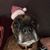 William Antonio Maza's profile image