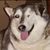 Mya Jenay Nelsen's profile image