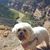 Debra Adams's profile image