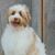 Julie Weiss Kotson's profile image