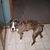 Dawn Smith Green's profile image