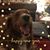 Amy Catherine McCusker's profile image
