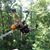Jamie Bingham Wood's profile image