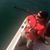 Doug Jeffrey's profile image
