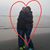 Tracy Mulalley's profile image