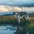 John Ivey Gray's profile image
