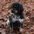 Tim Fahrer-Wiers's profile image