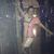 Tricia Holda's profile image