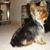 Ligia Esperanza Rozo's profile image