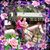 Melanie Arbogast's profile image