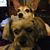 Judy Bacon Driskel's profile image