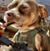 Robby Gonzales's profile image