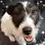 Chris Kiefer's profile image