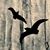 Alyce LaGasse's profile image