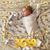 Teresa Spano Smith's profile image