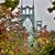 Teri VanOrtwick-Mannen's profile image