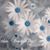 Karen Swain Sheaffer's profile image