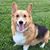 Abigail Marie Beatty's profile image