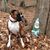 Cynthia Brown's profile image