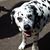 Stephanie Hedrick's profile image