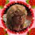 Franny Diez's profile image