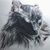 Louise Smallwood's profile image