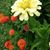 Karen Harle Hollabaugh's profile image