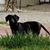 Nancy Rossner's profile image