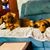 Judy Wilson's profile image