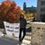 Susie Shinn's profile image