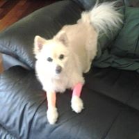 Pam Toal's profile image