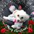 Lisa Lakomski's profile image
