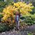 Beverly Gierke's profile image
