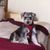 Ruth R.'s profile image