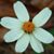 Stephanie Dillard's profile image