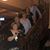 Diana Giampietro's profile image