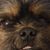 Blair Thomas's profile image