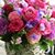 Karen D Warner-Johnson's profile image